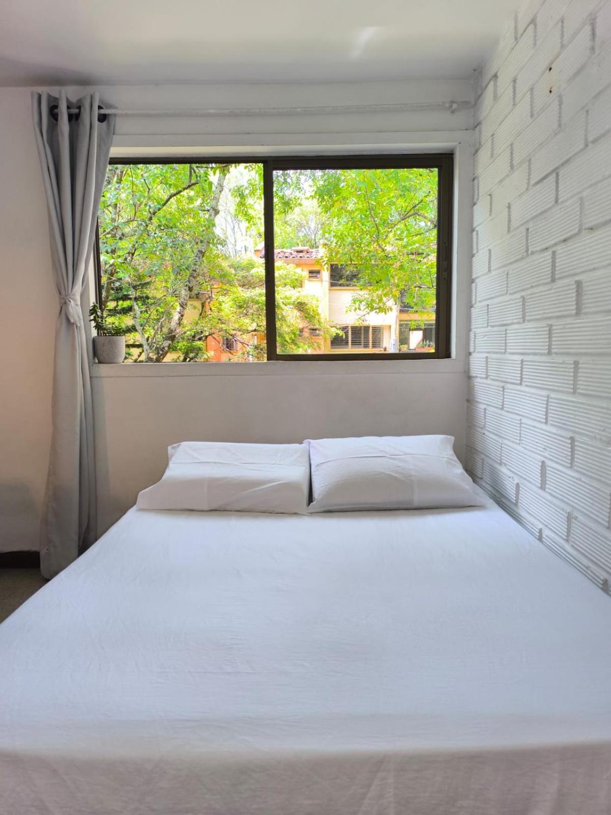 Casa Colibri Apartment *